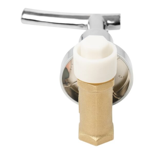 BCH-129_4 REGISTRO DUCHA COCORA