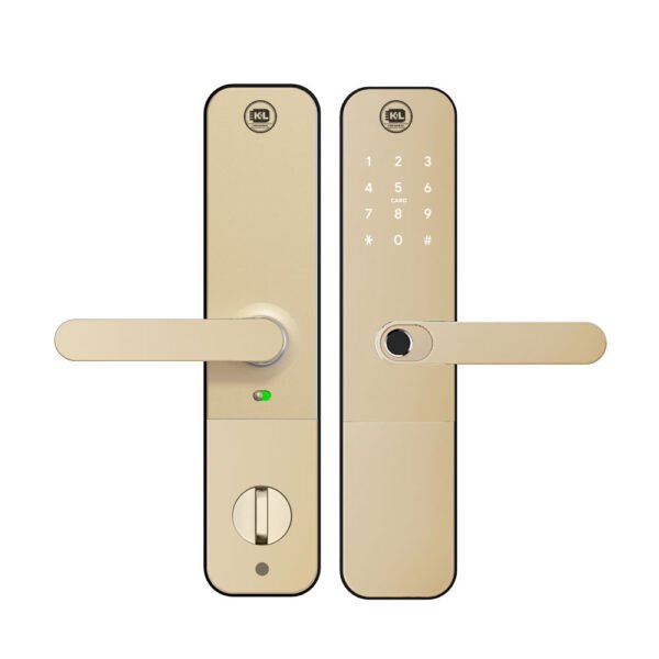 Cerradura Inteligente Moressco Cincinno C