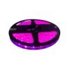 ICL39_CINTA_LED_12V_SILICONADA_FUCSIA_2.jpg Cinta LED Luz Fría 6500K 12V x5m — Mercury