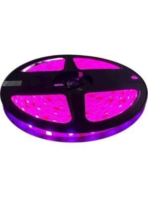 Cinta LED Fucsia 12V x5m — Mercury