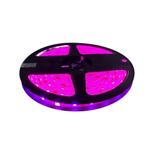 ICL39_CINTA_LED_12V_SILICONADA_FUCSIA_2.jpg Cinta LED Luz Fría 6500K 12V x5m — Mercury