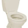 Sanitario Laguna Bone 4.8L — Corona