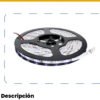 Cinta LED Luz Fría 6500K 12V x5m — Mercury Cinta LED Luz Fría 6500K 12V x5m — Mercury