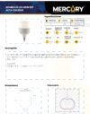 Ficha técnica MERCURY Bombillo LED 40W E27