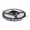 Cinta LED Luz Fría 6500K 12V x5m — Mercury