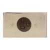Toma de Incrustar con Polo a Tierra 20A 250V Codelca