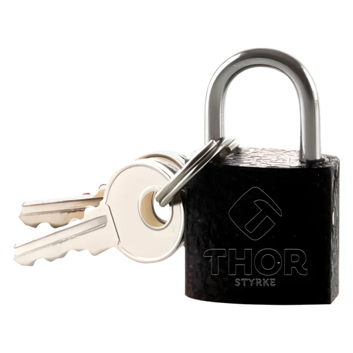 Candado de hierro negro mate 20 mm Thor · THCAN500